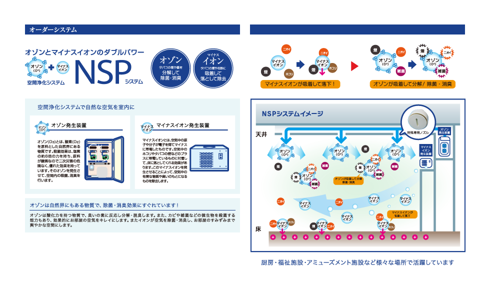 オゾンとマイナスイオンのダブルパワー 空間浄化システム NSPシステム